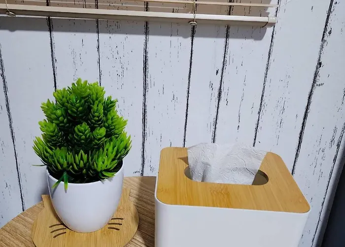 Apartment 201-olan Place Homely Free Wi-fi And Near Bts Line *